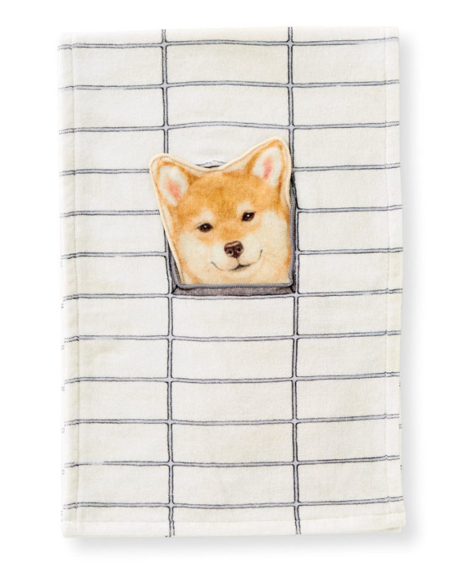 柴犬,タオル