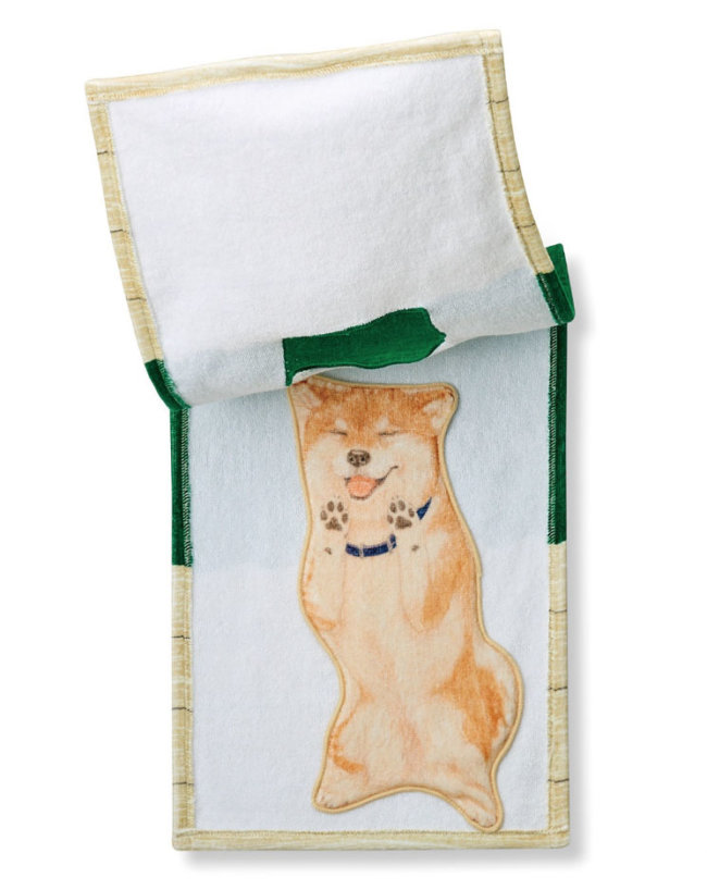 柴犬,タオル