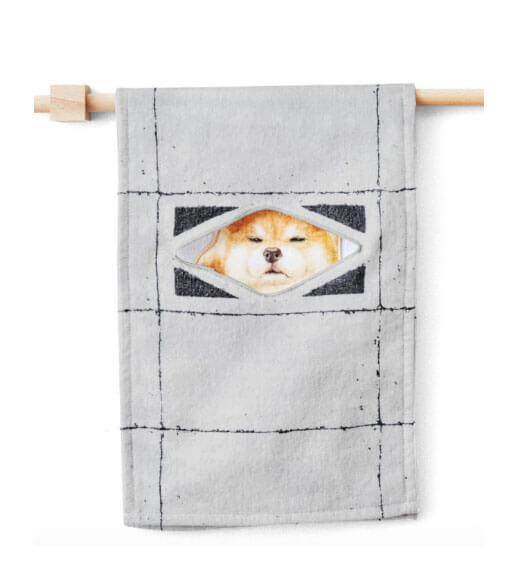 じーっと見てます！すき間からのぞく柴犬タオルの会