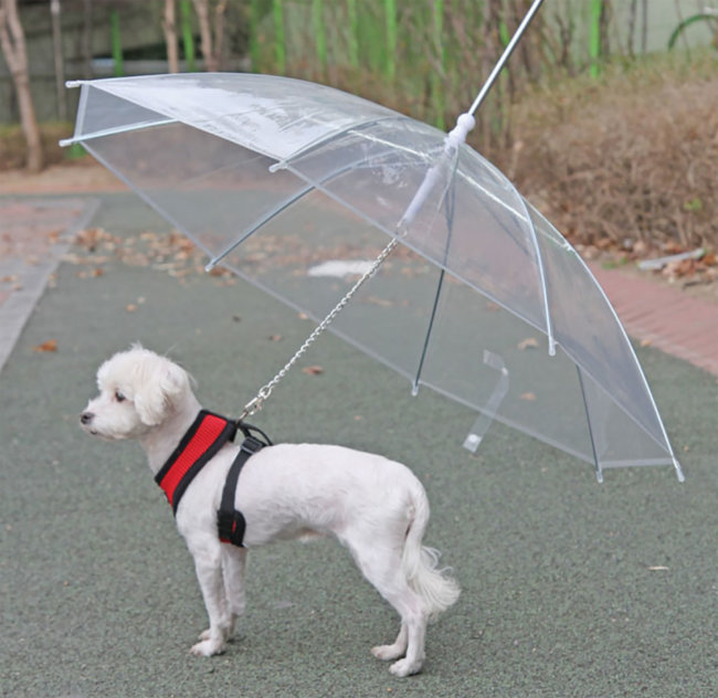 犬用傘付きリード PUPPIA パピア 