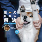 【特集】柴犬のお悩み解決NOTE