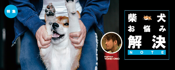 【特集】柴犬のお悩み解決NOTE