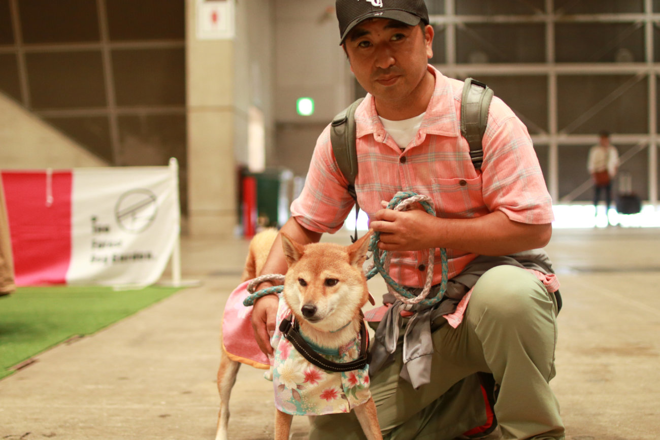 柴犬,カートラジャパン2019
