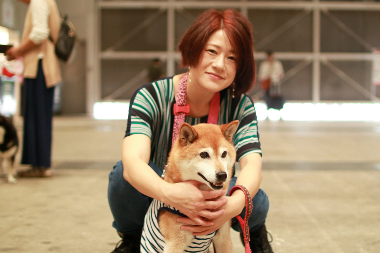 柴犬,カートラジャパン2019