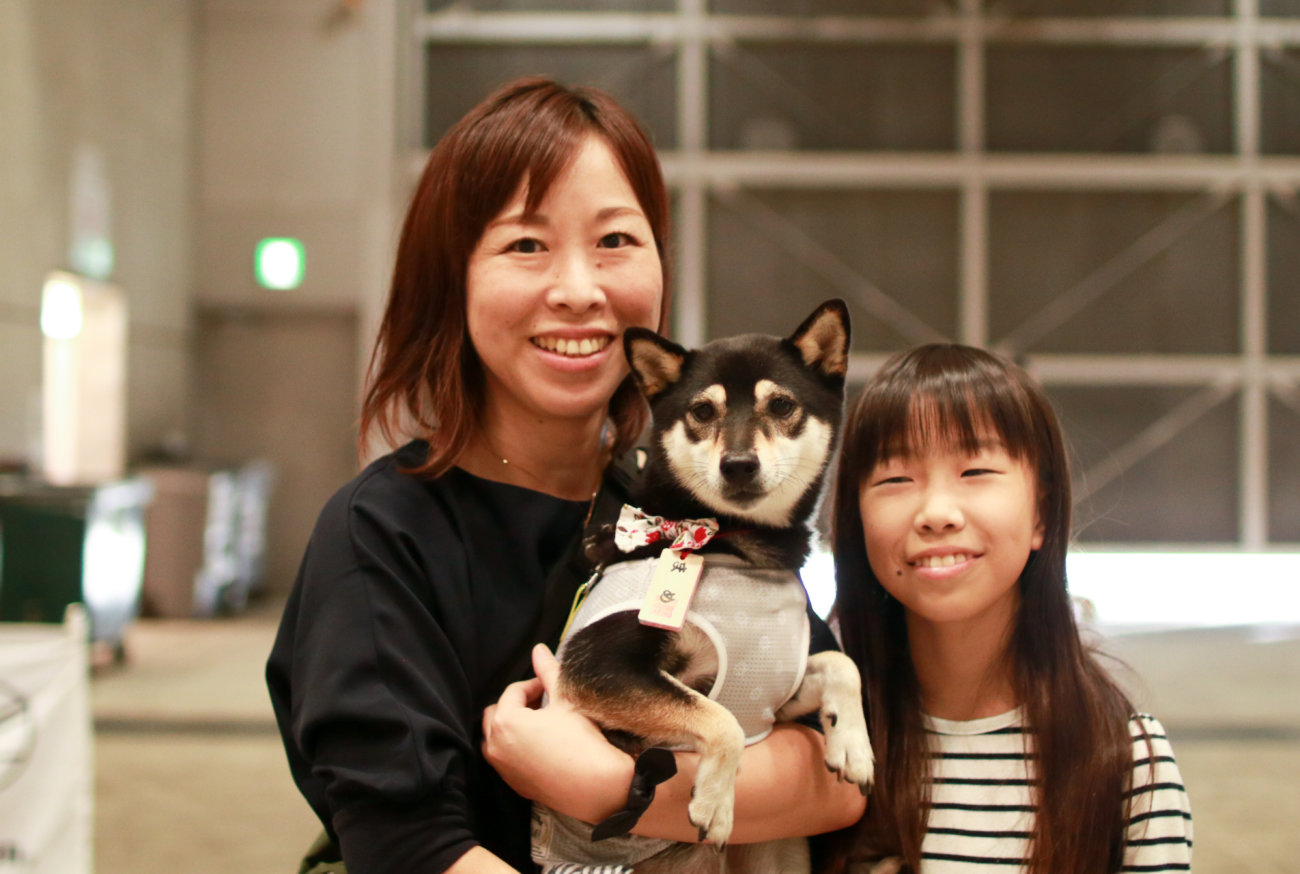 柴犬,カートラジャパン2019