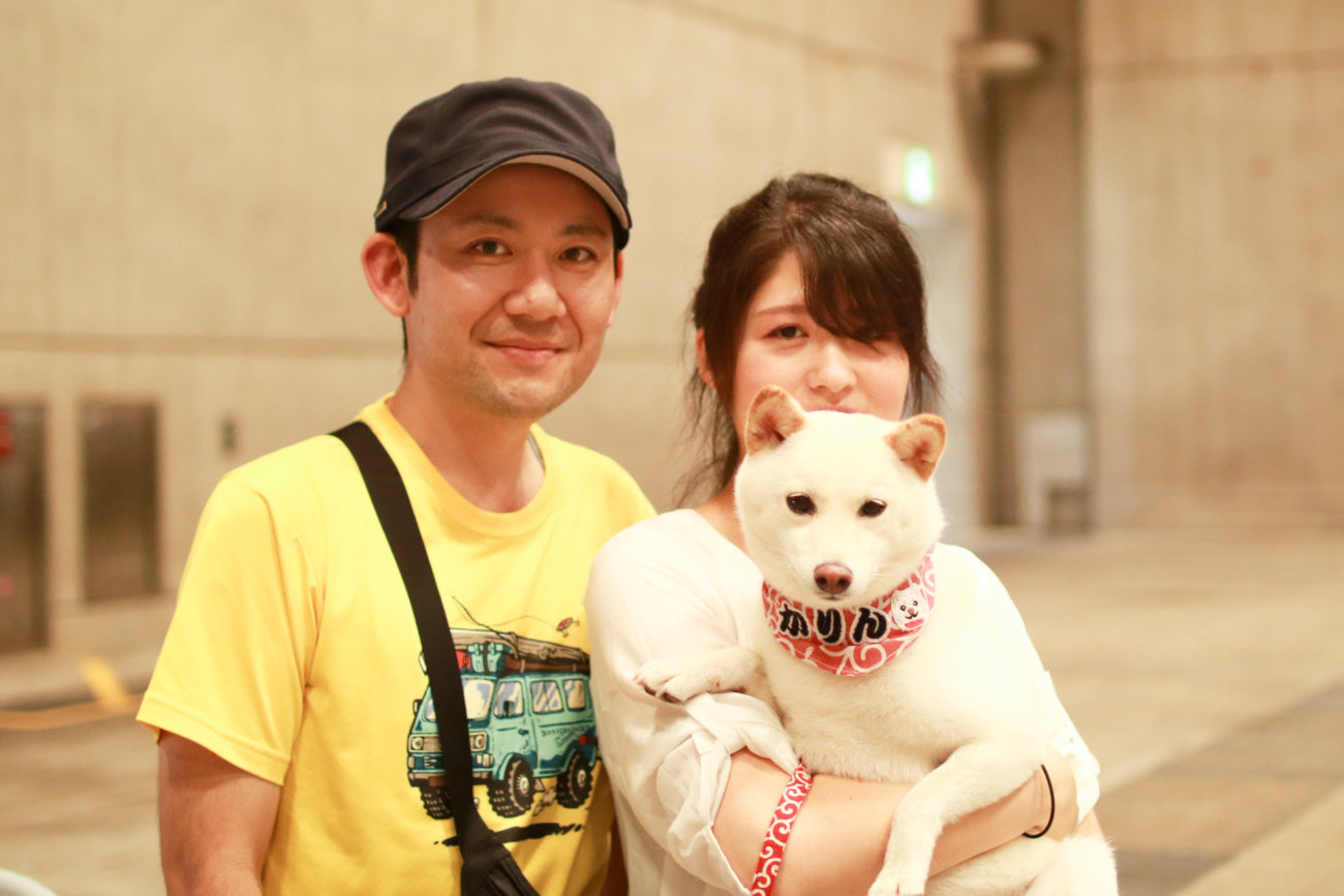 柴犬,カートラジャパン2019