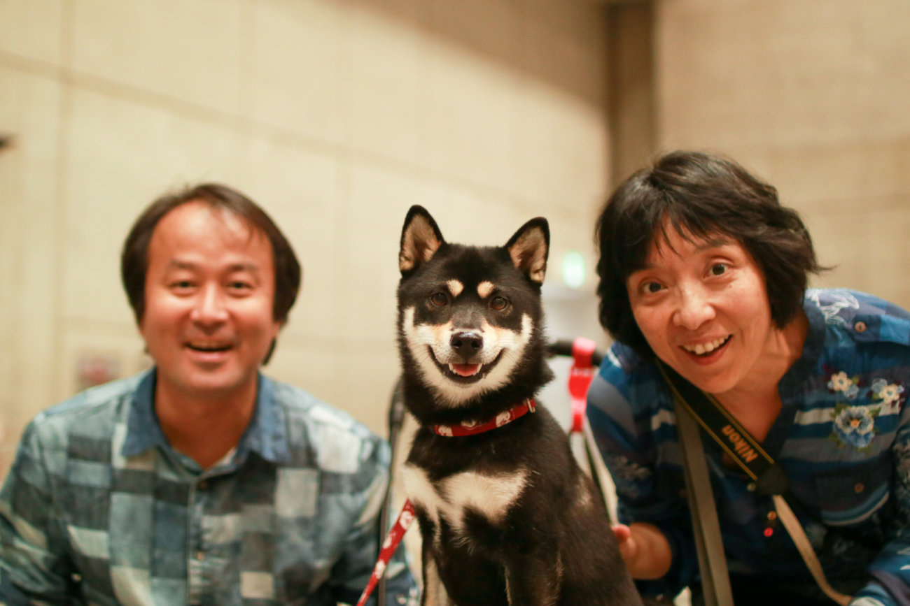 柴犬,カートラジャパン2019