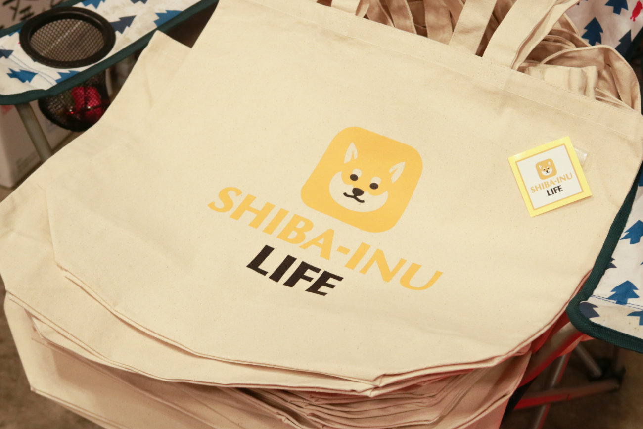 柴犬,カートラジャパン2019