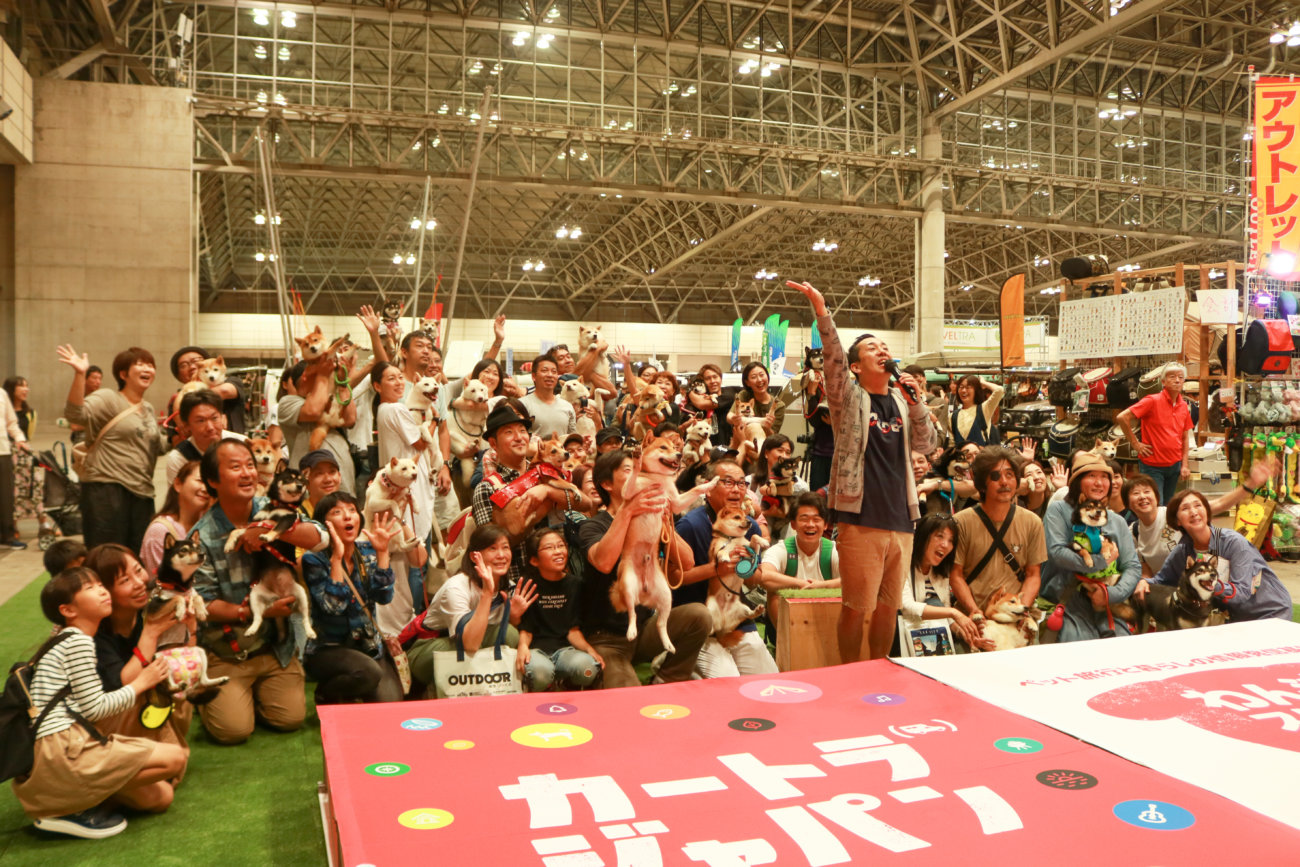 柴犬,カートラジャパン2019