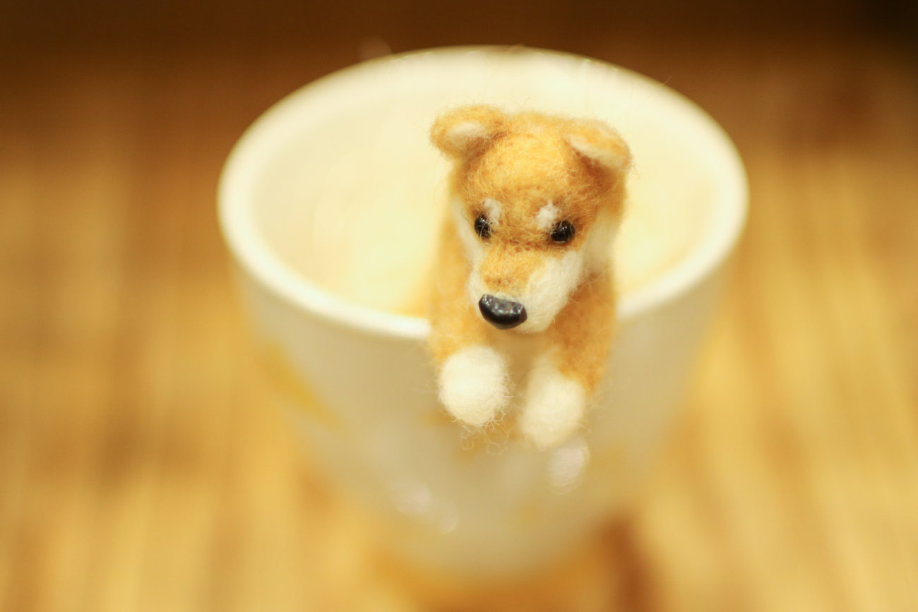 柴犬,カートラジャパン2019