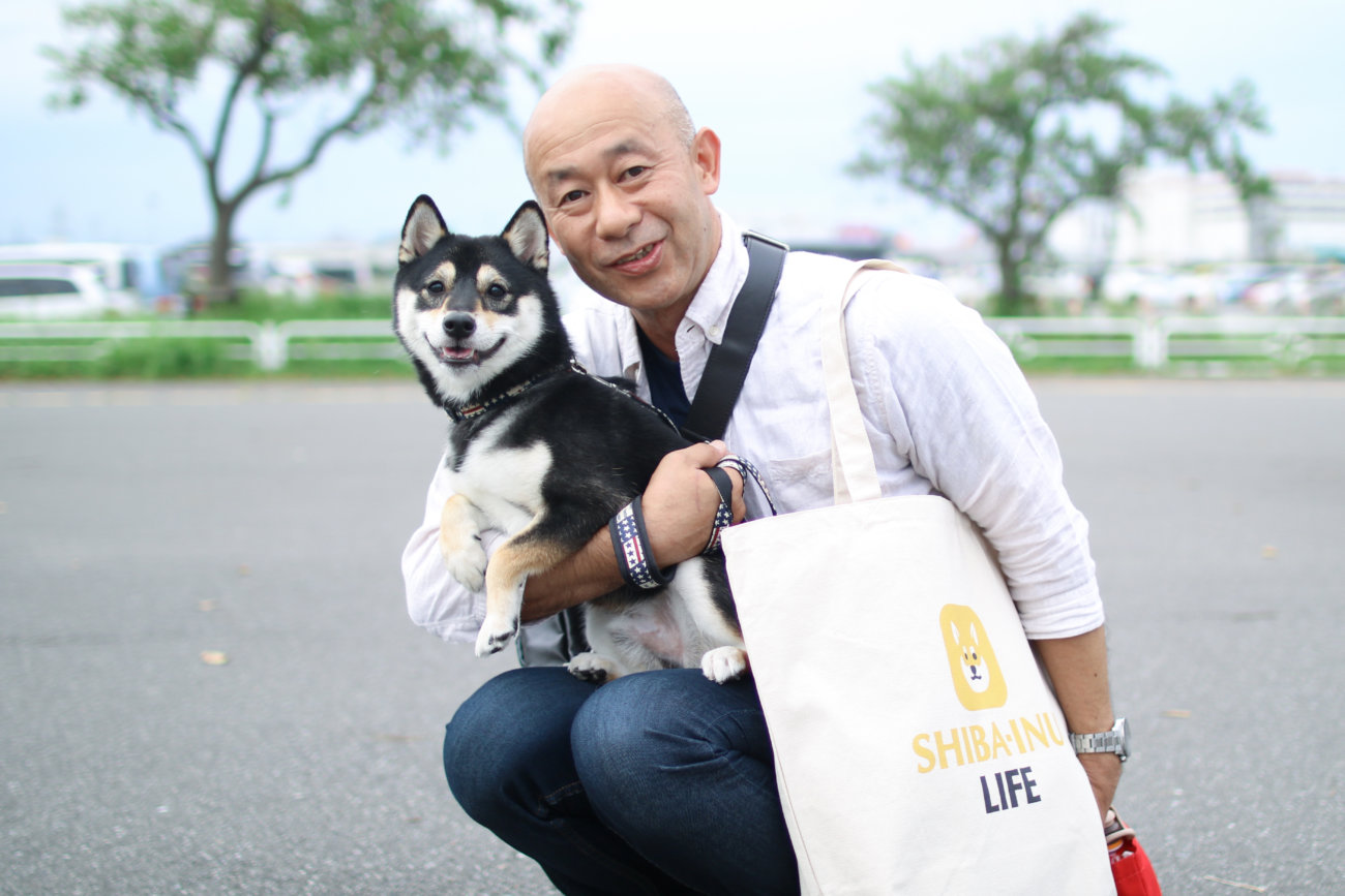 柴犬,カートラジャパン2019