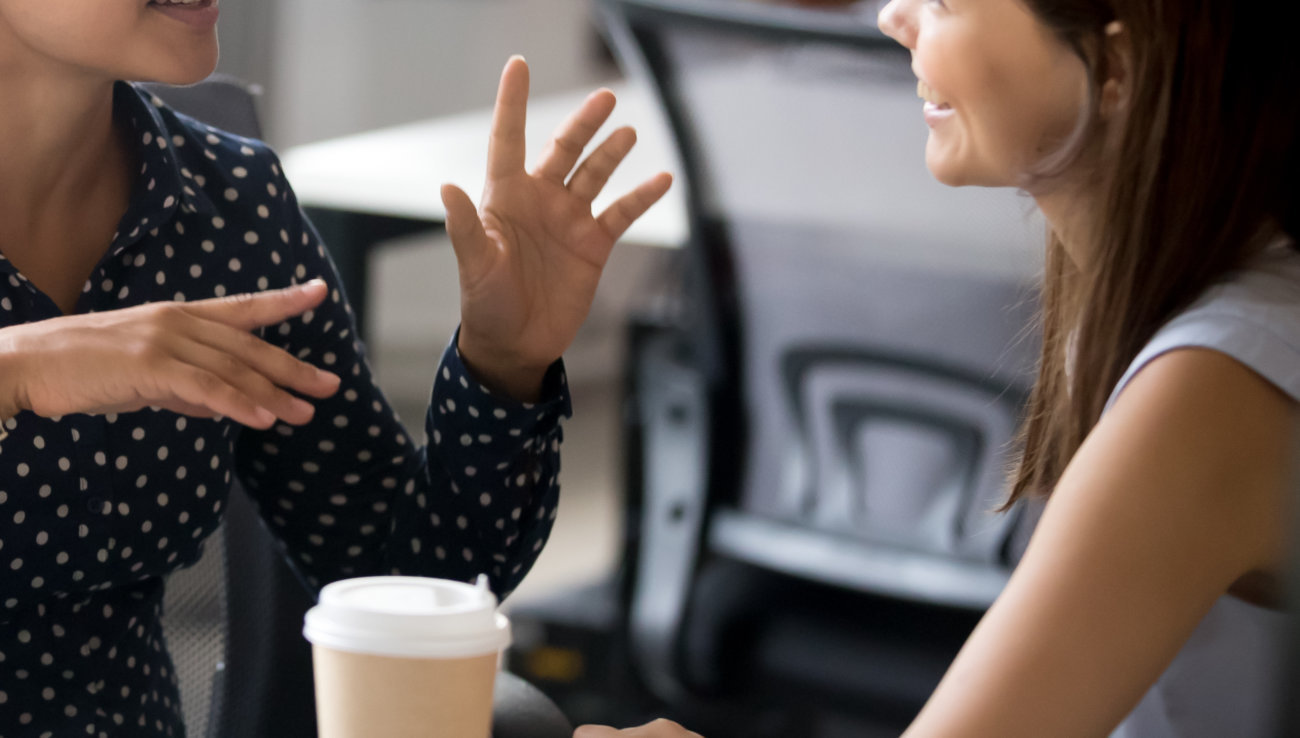 柴犬,ペットシッター,ぱうわん