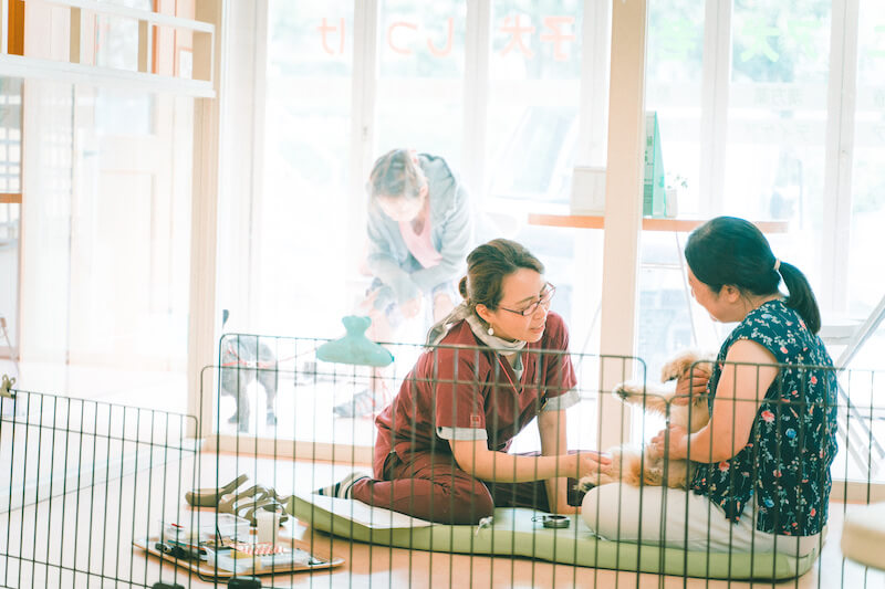 キュティア老犬クリニック