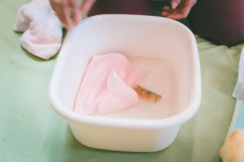 ハーブによるケア