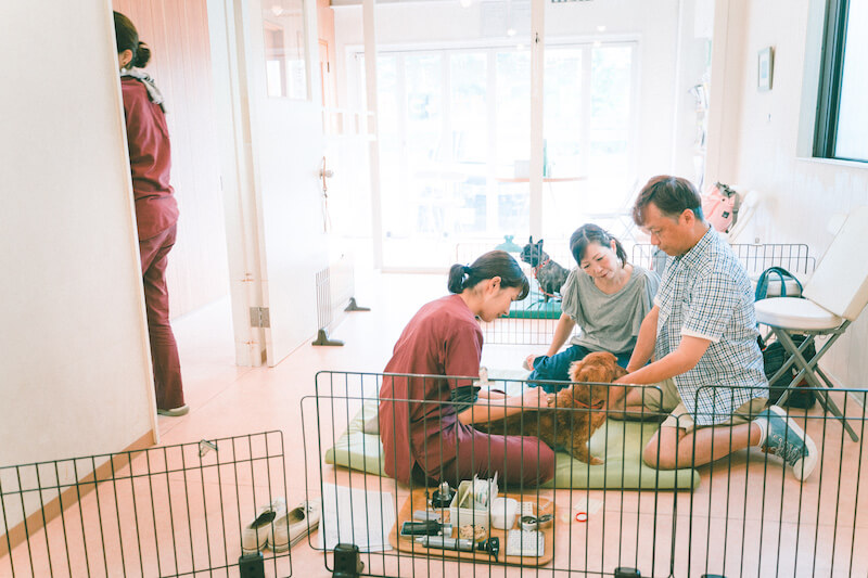 キュティア老犬クリニック