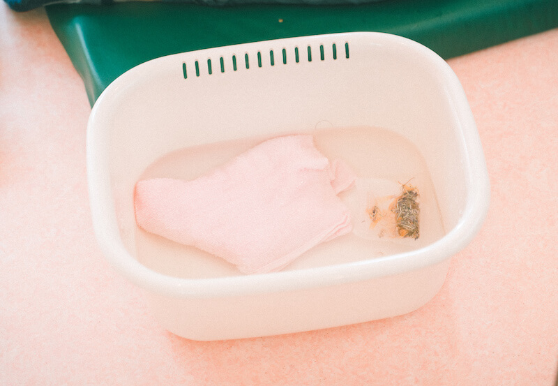 キュティア老犬クリニック