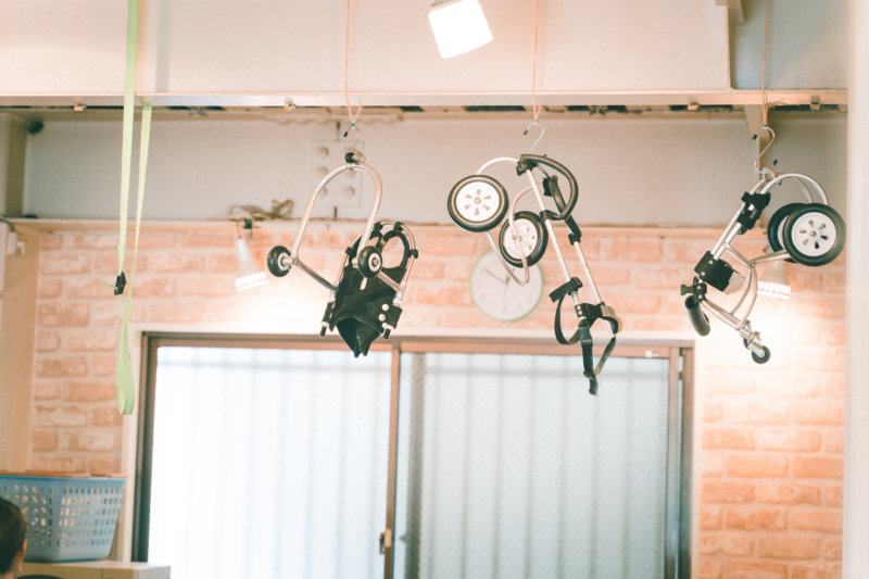 キュティア老犬クリニック