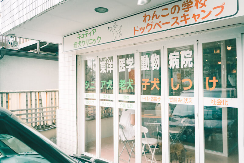 キュティア老犬クリニック