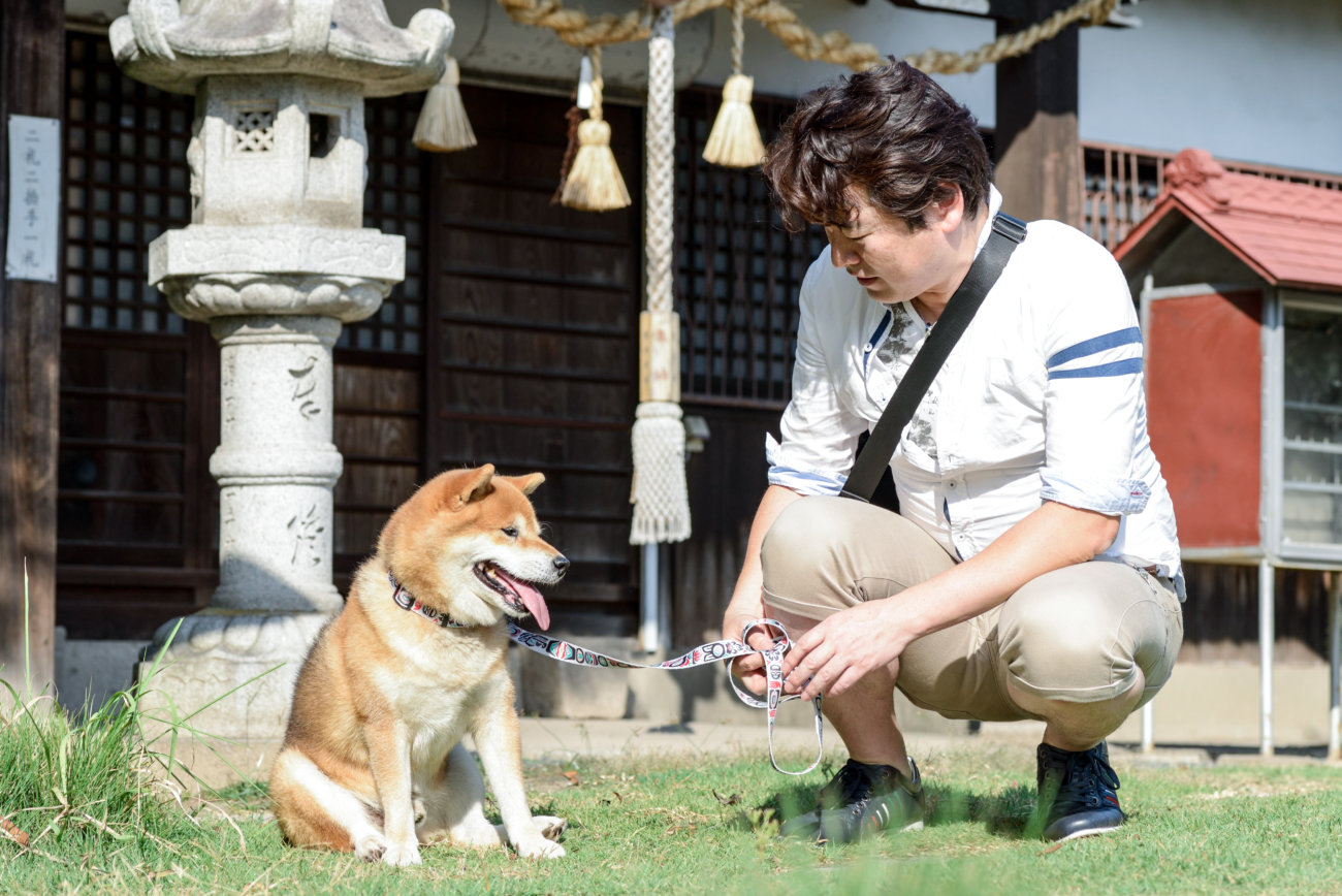 柴犬,リード,ウルフギャング