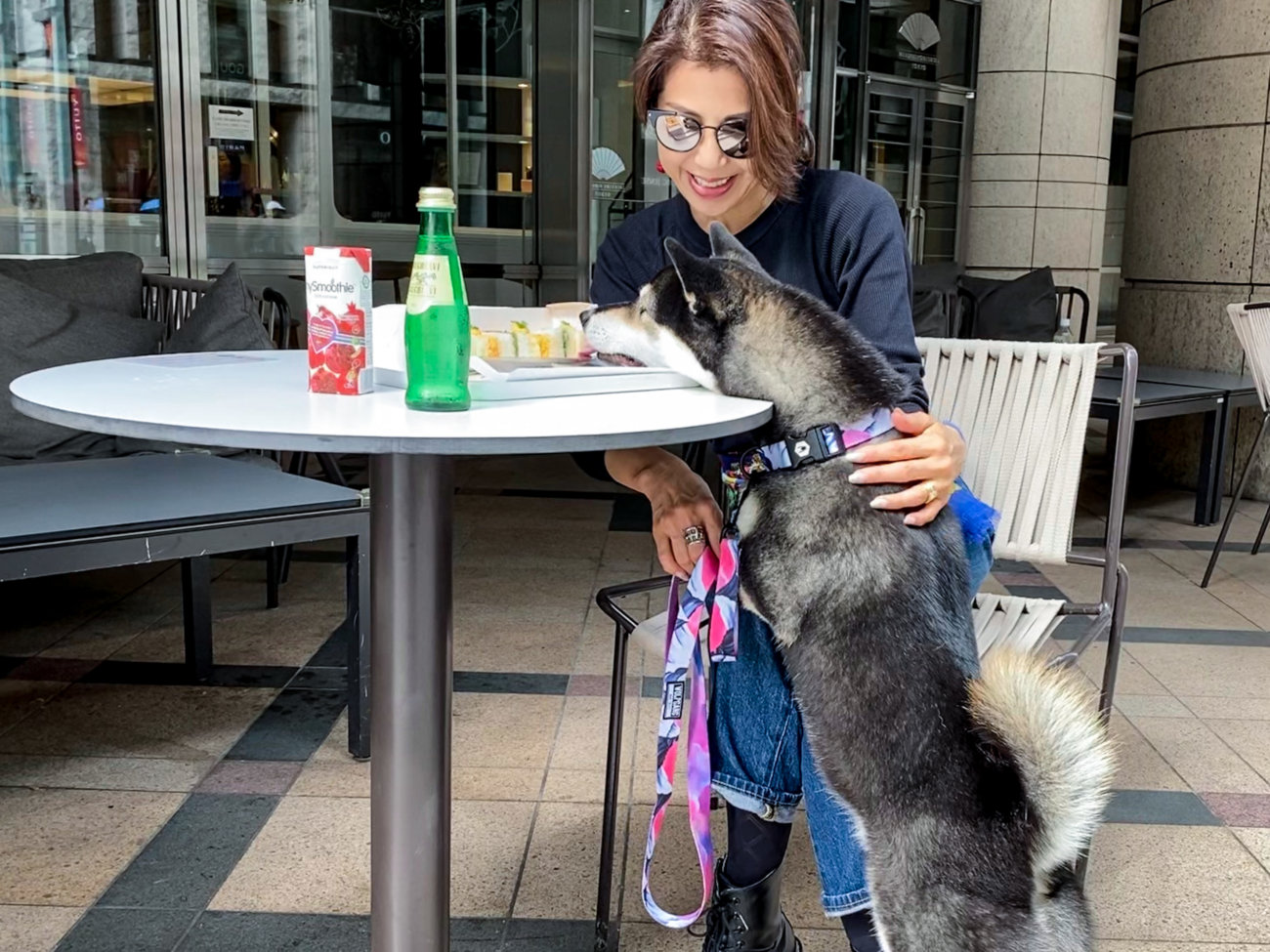 柴犬,リード,ウルフギャング