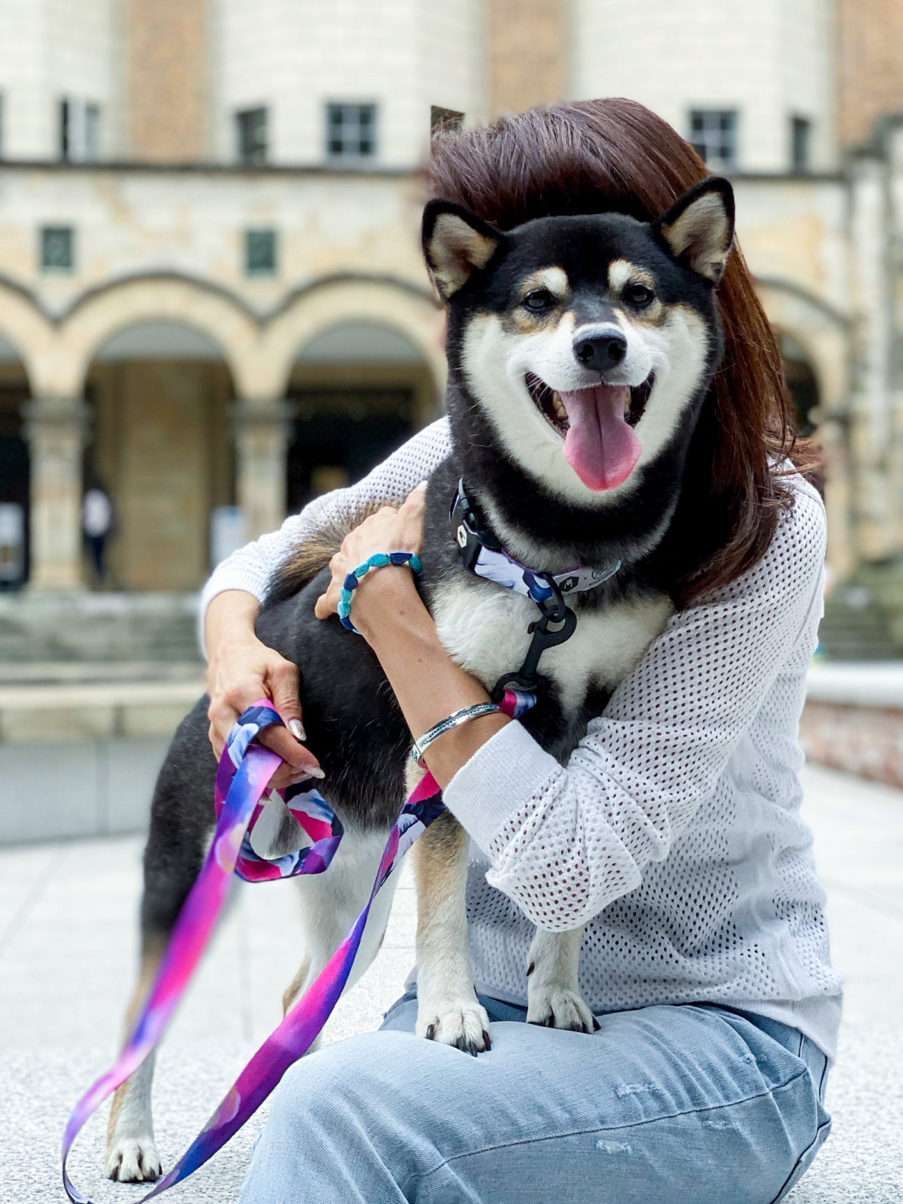 柴犬,リード,ウルフギャング