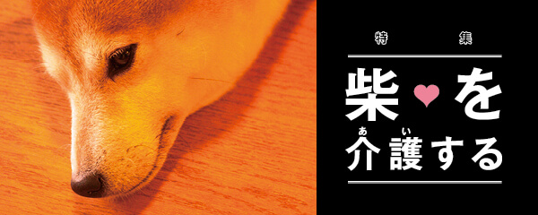 【特集】柴♡を介護する