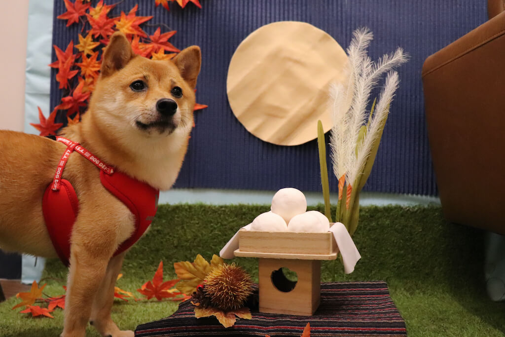 フォトスポット