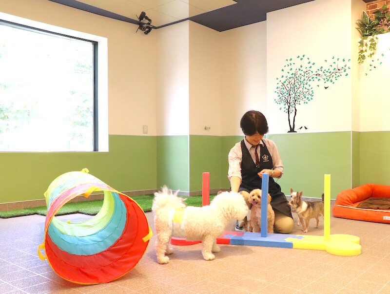 2Fアスレチックルーム