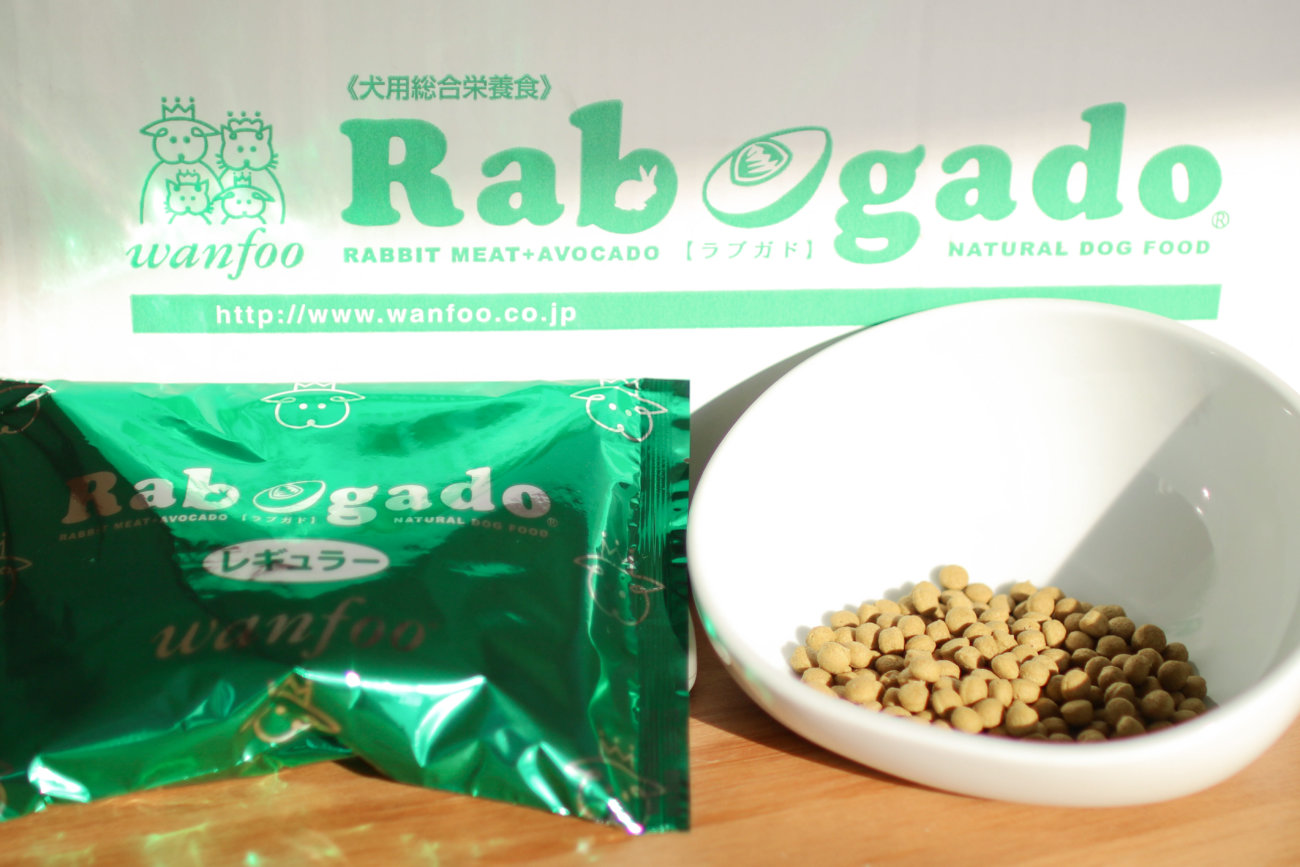 柴犬,ワンフー,ラブガド