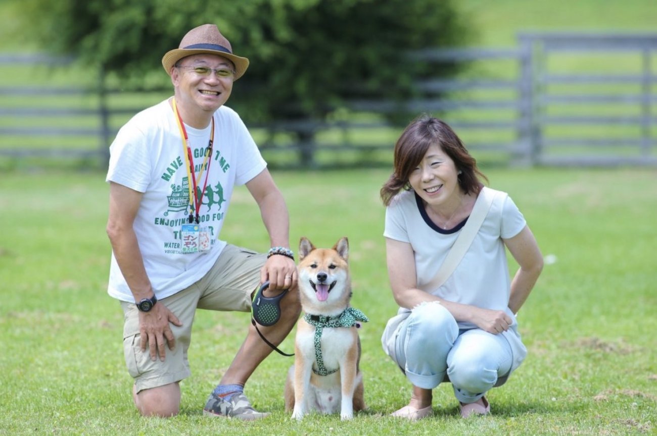 柴犬,ワンフー,ラブガド