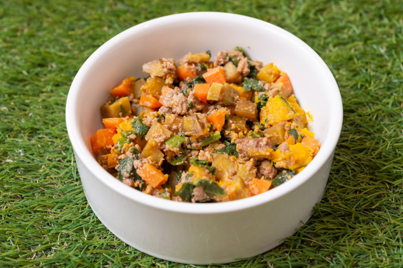 柴犬,ココグルメ