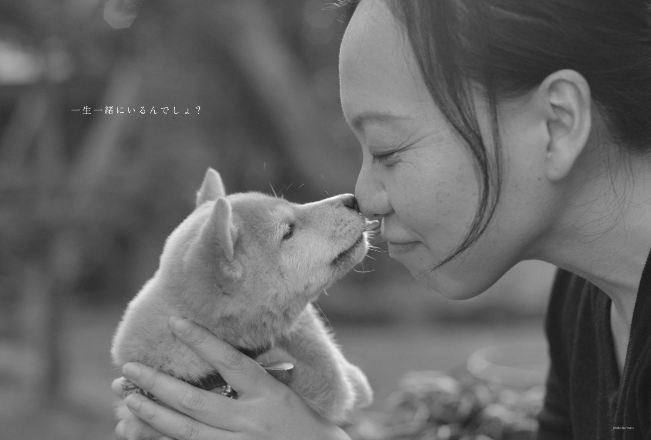 雑誌版,柴犬ライフ