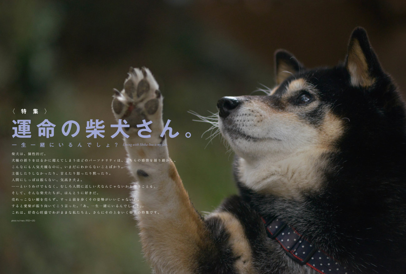雑誌版,柴犬ライフ