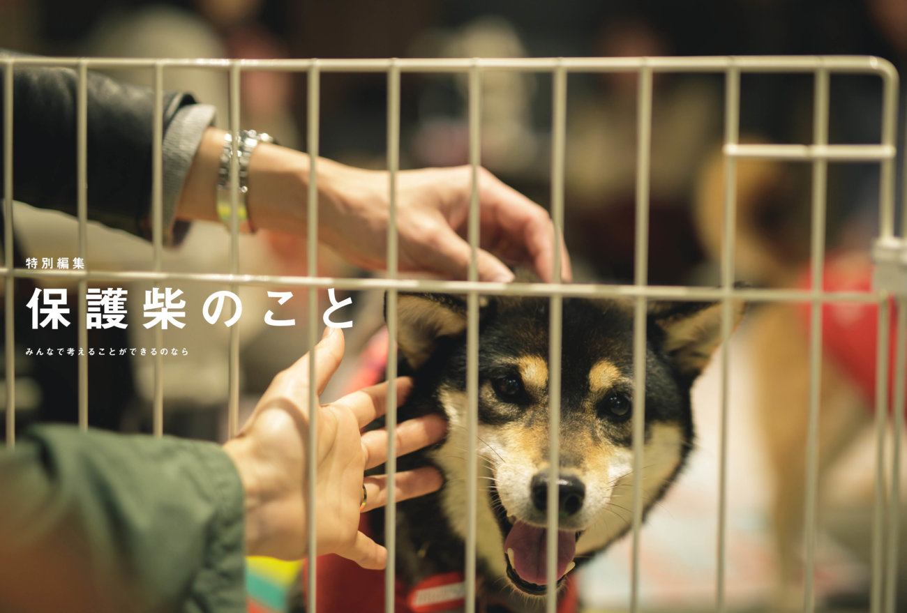 雑誌版,柴犬ライフ