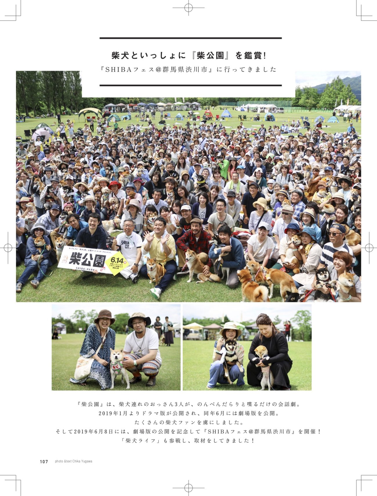 雑誌版,柴犬ライフ