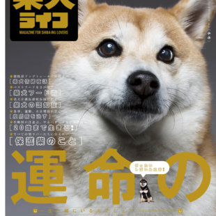 雑誌版『柴犬ライフ』冬号2020