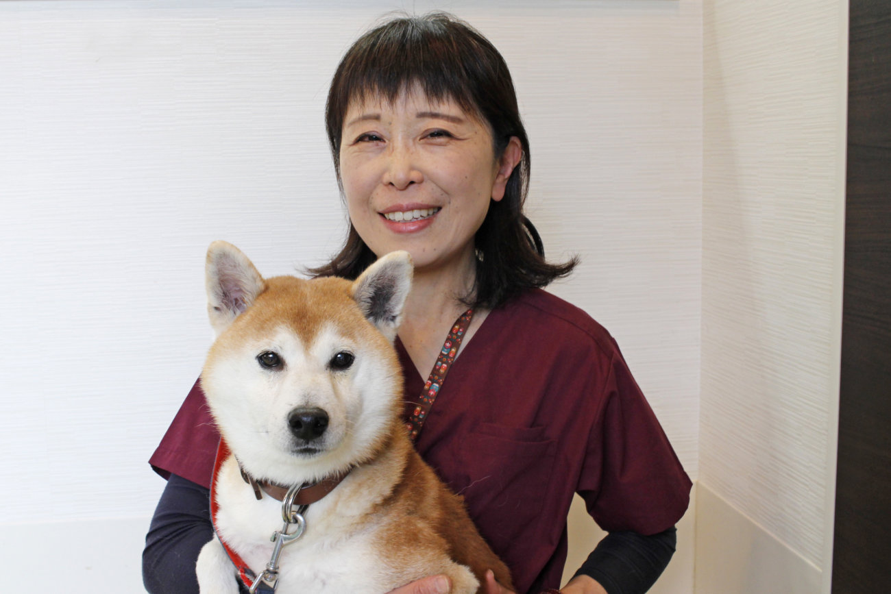 柴を介護する,平端弘美