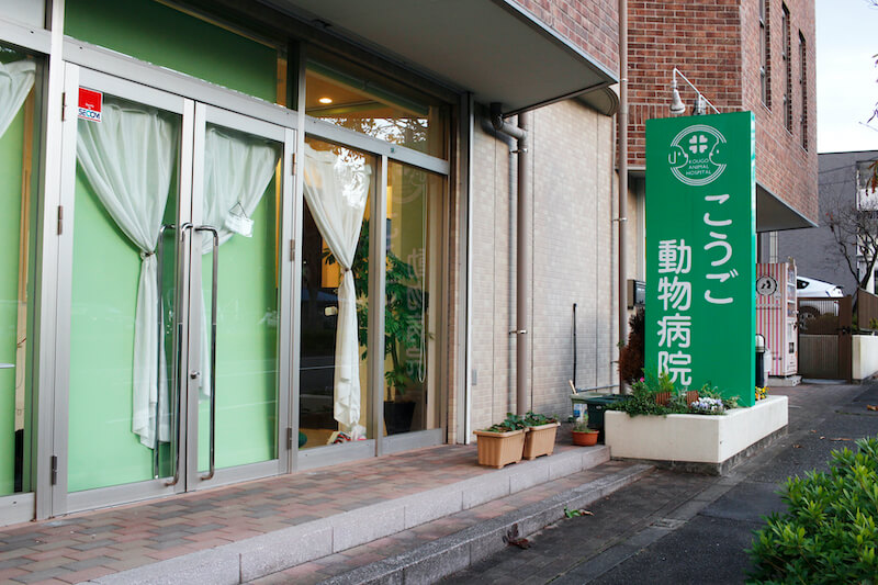 こうご動物病院