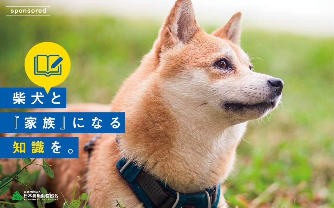 愛玩動物飼養管理士