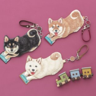 シュルッと伸びるパスケース