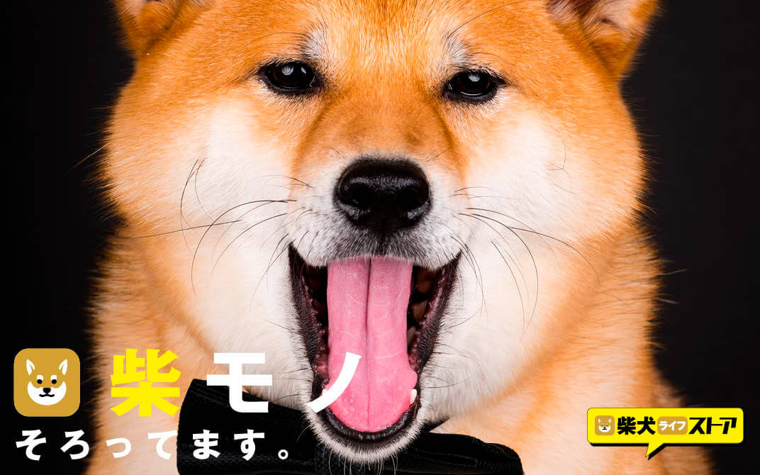 柴犬ライフストア_柴犬グッズ