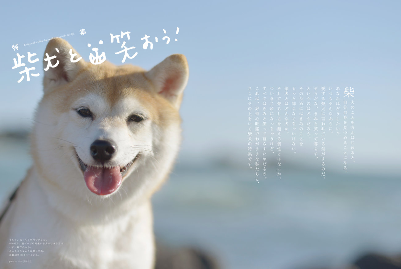 雑誌版,柴犬ライフ