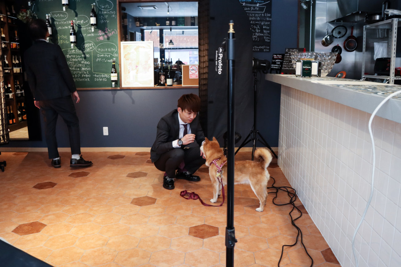 アインシュタイン,柴犬ライフ