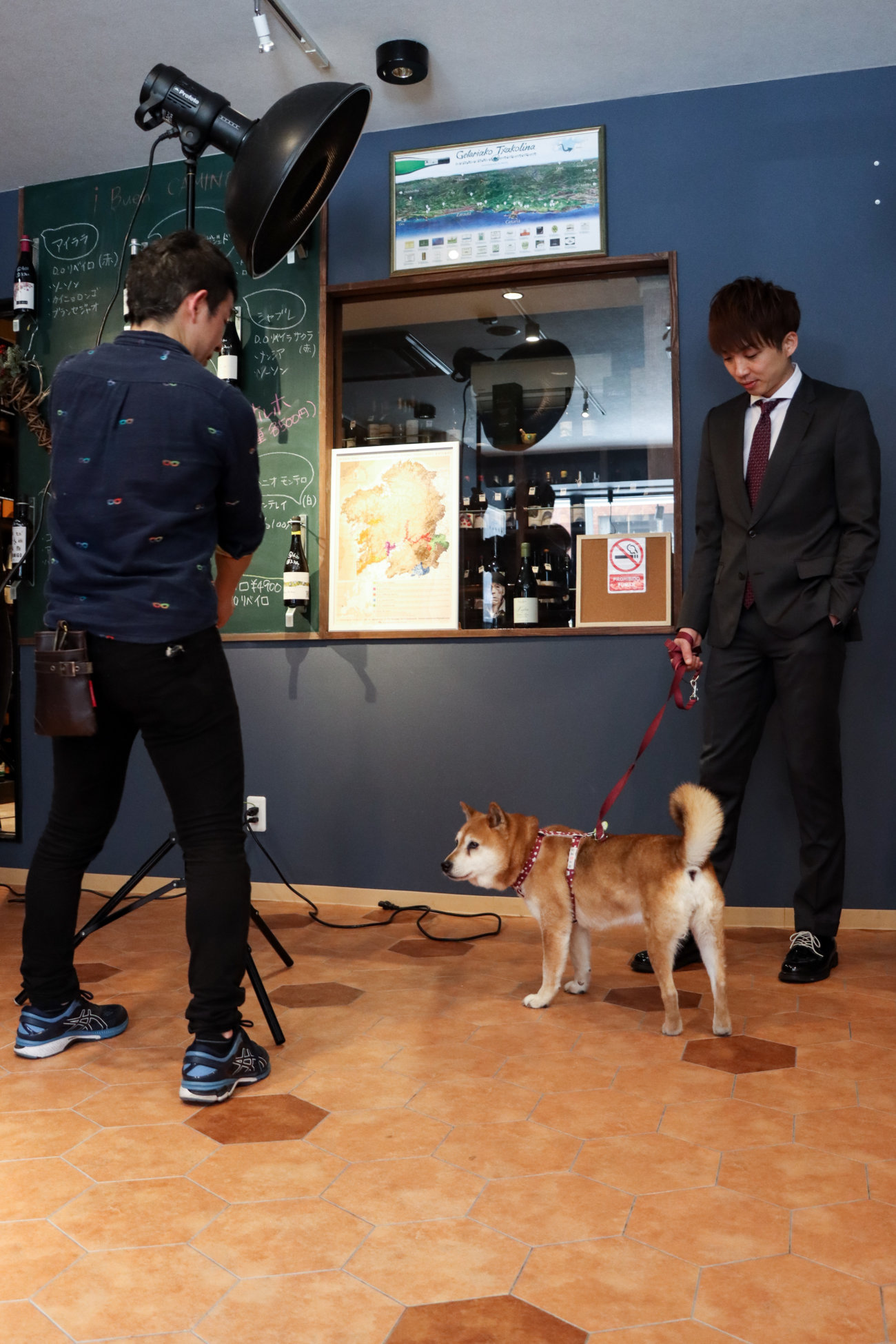 アインシュタイン,柴犬ライフ