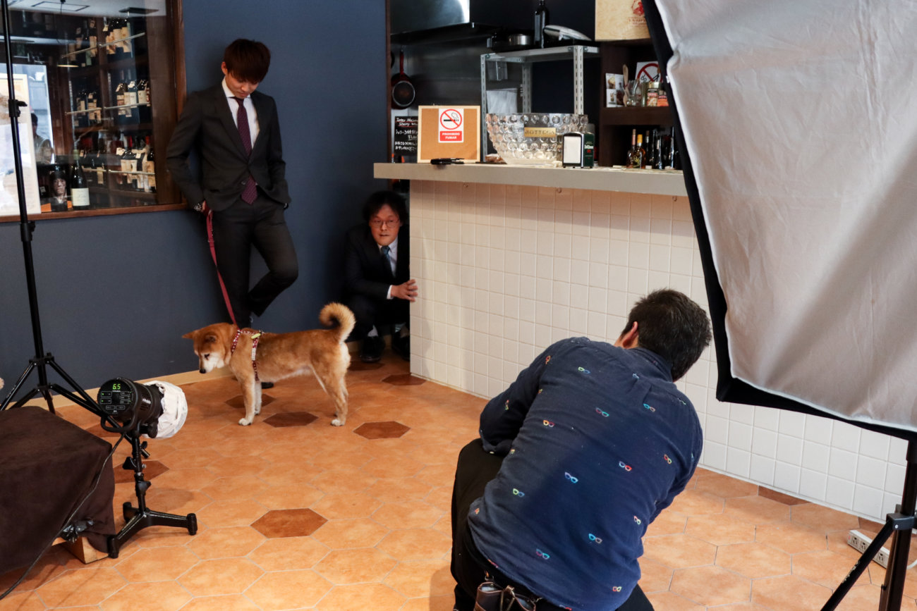 アインシュタイン,柴犬ライフ