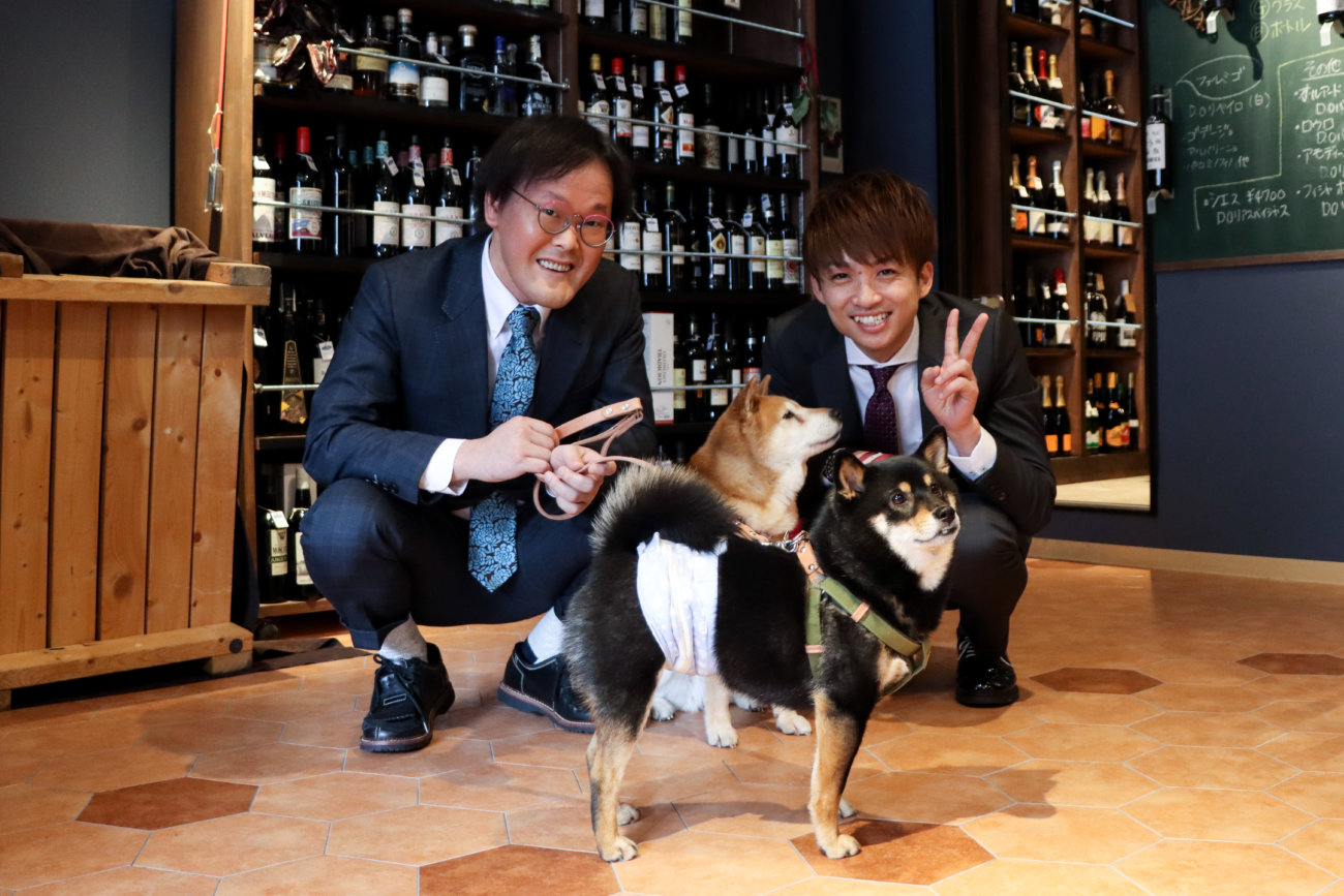 アインシュタイン,柴犬ライフ