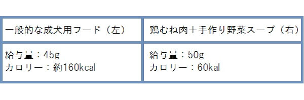 フードカロリー比較表