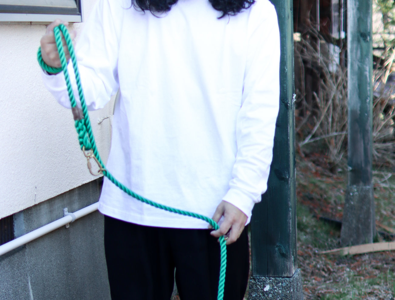 柴犬ライフ,FOUND MY ANIMAL