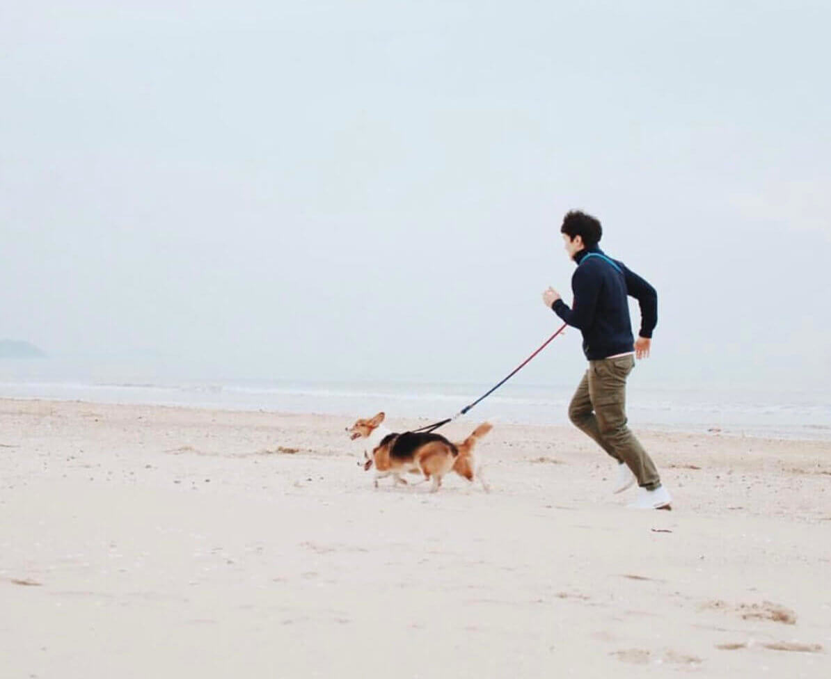 柴犬ライフ,FOUND MY ANIMAL