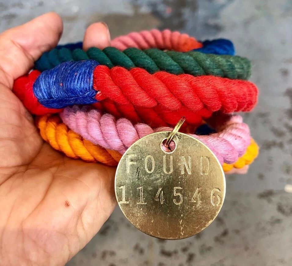 柴犬ライフ,FOUND MY ANIMAL